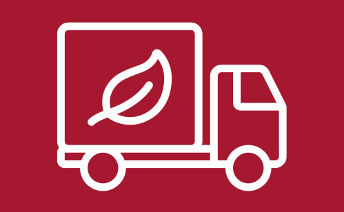 eco delivery van