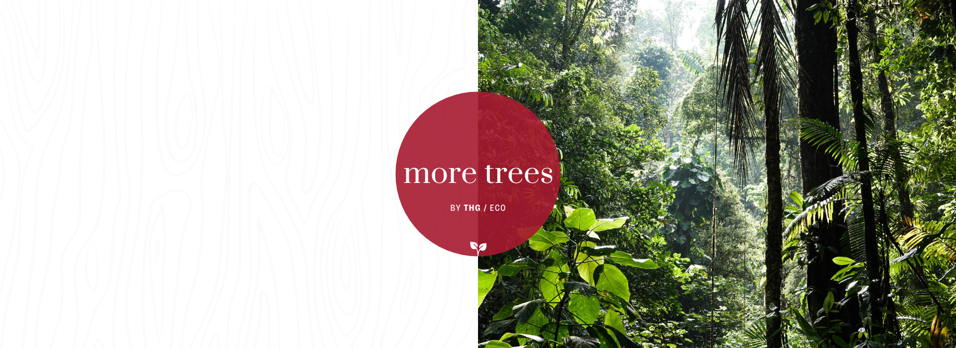 more trees by THG/Eco