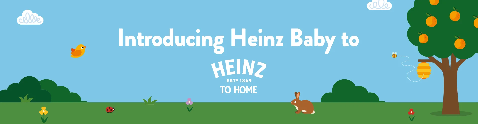 introducing heinz baby to heinz to home